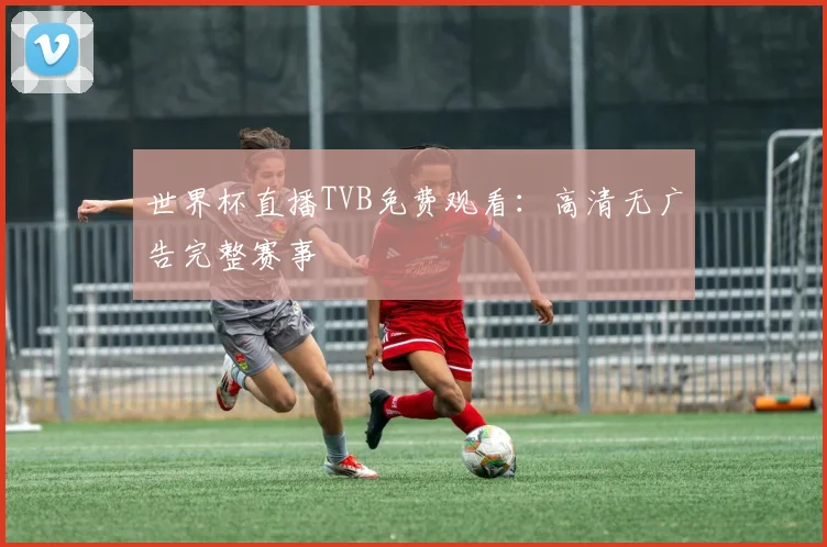 世界杯直播TVB免费观看:高清无广告完整赛事